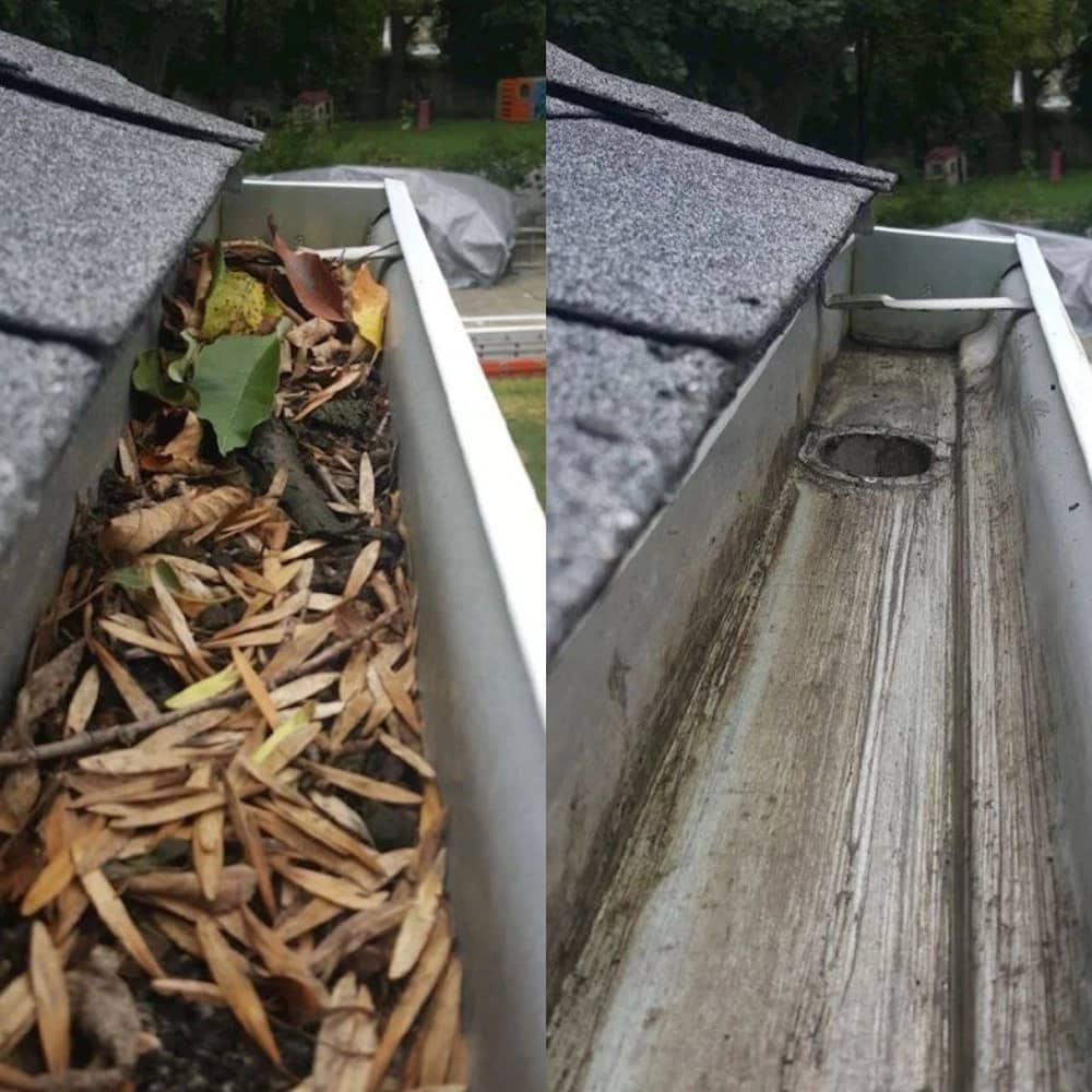 Abbotsford Gutter Cleaning
